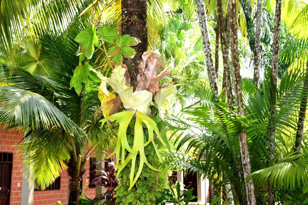 Hotel Ambaibo Rurrenabaque Zewnętrze zdjęcie